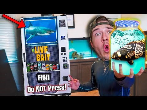 BUYING LIVE AQUARIUM FISH FROM A VENDING MACHINE! *Do Not Press*