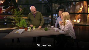 25K views · 44 reactions | Haps, haps, haps  | Go' morgen Danmark og Go' aften Live | Facebook