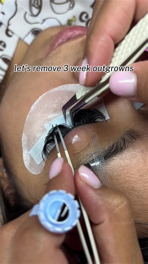 Lash Removal Tutorial: How to Remove Outgrown Extensions
