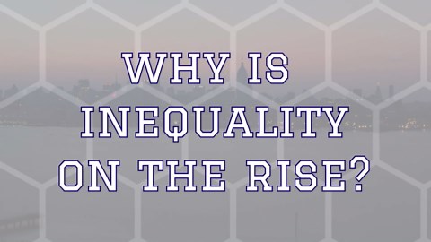 Wealth Inequality: Is It Actually Harmful to the Economy and Society?