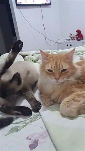 # estou nem aí pra nada só na minha higiene 😅😅😅