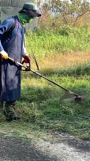 밭 예초기 작업.#풀 #잔디 #벌초 #예초기 #줄날 #칼날 #ZENOAH #BK4302 #automobile #줄다리기 #lawncare #farming #satisfying