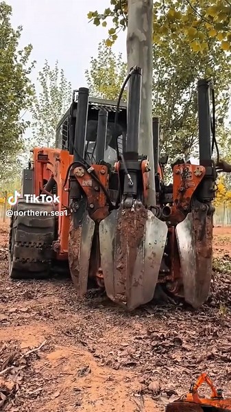 Understanding Excavator and Crane Operations