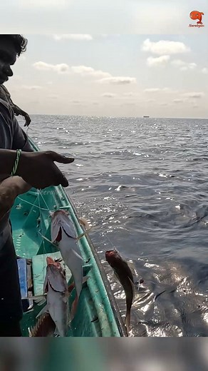 Danesh K on Instagram: "Deep Sea Fishing Videos #fishing #fishingvideos #fishingtime"