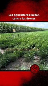 87M views · 635K reactions | Los agricultores luchan contra los drones  “Despierta tus Poderes Mentales” replanteó cómo veo mi vida. ¿Listo para tu transformación? Enlace en la bio o comenta “LIBRO” y descúbrelo.(Comenta “AMAZON” si lo prefieres en físico) | Lapildoradelaverdad | Facebook