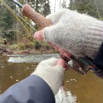 I Hooked a MONSTER Steelhead & Then This Happened