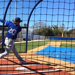 Gibbons on batting practice