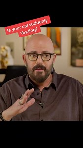 4.8K views · 3.1K reactions | Is your cat suddenly yowling? Don’t ignore it - yowling is their way of saying something’s not right. Pay attention to when, where, and how often… and if it’s new or out of character, call your vet. #CatBehavior #Cats #CatHealth | Jackson Galaxy | Facebook