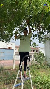 Neem Soap Making - Benefits for skin #neem #soap #benefits | Hetal's Art - Creation