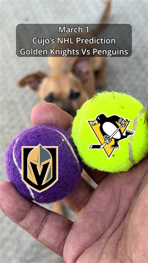 Vegas Golden Knights (28-17-14) vs Pittsburgh Penguins (30-15-13) — PPG Paints Arena, Pittsburgh — March 1, 2026 Cujo gets two balls and makes the call. (For entertainment only) #VegasGoldenKnights #PittsburghPenguins #NHL #CujoCatches #CujoPicks
