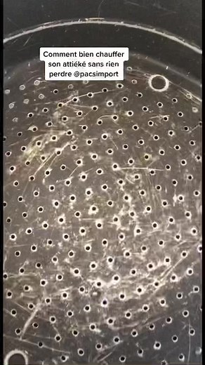 Pacsimport sur TikTok