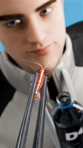 Exploring 3D Science: Fascinating Facts