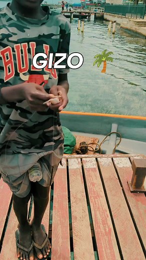 Exploring Gizo Town: Seaweed Delicacies in the Western Solomons