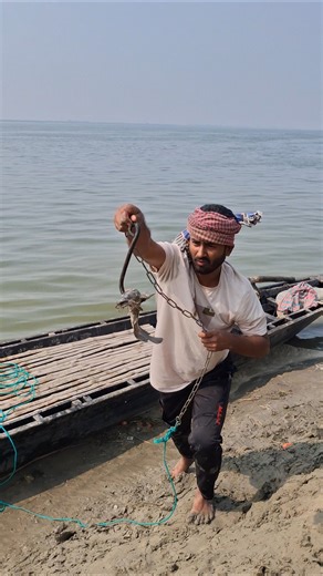 Unique Fishing Method Using Fresh Bait #fishing #reels #shorts