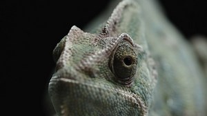 1.5K views · 242 reactions | The main camera and sub camera can record video simultaneously, allowing for wide and zoomed-in shots as well as front and side angles of the same scene, resulting in movies with more variety. #JapaneseTechnologyAtWork | Panasonic Philippines | Facebook