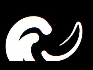 Swirl Transition Animation