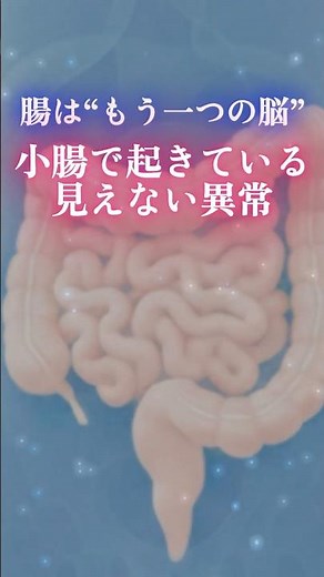 腸は“もう一つの脳” ③ 小腸で起きている見えない異常 #過敏性腸症候群 #IBS #SIBO #腸内細菌 #腸内環境 #小腸 #腹部膨満 #ガス溜まり #下痢 #内科 #shorts