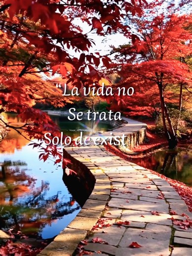 Razones para seguir. #motivaciondiaria #feed #parati #consejosdevida | Daily Motivation