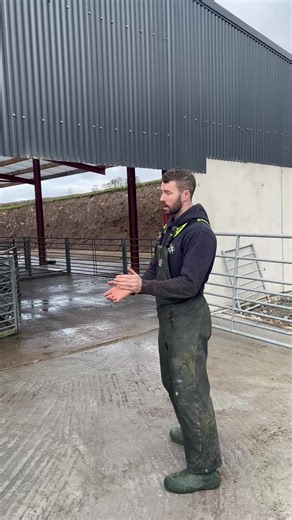 Shed Completed, @TePari Ready for some action #farm #farming #sheep #tepari #cows