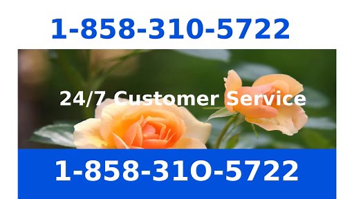 OfficiAl HeLp Full List of Coinbase Support Numbers Number in USA