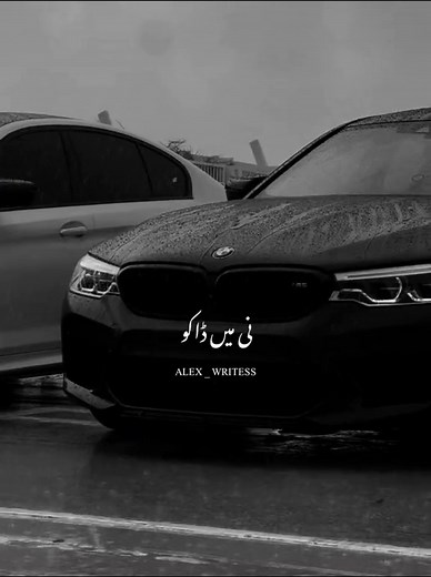 Trading Song Compilation on TikTok