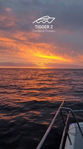 Golden hour, ocean breeze and unforgettable memories. There's no way to end the day than on board with Tigger 2! Contact us at: 🌐www.tiggertoo.co.za 📞021 418 0241 ✉️info@tigger2.co.za #Tigger2 #Sunsets #GoldenHour #Tigger2Experience #Onboard | Tigger 2 Charters