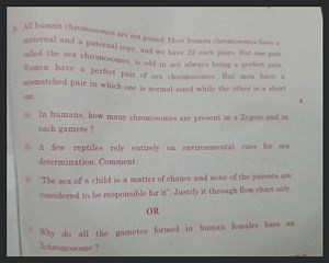 All human chromosomes are not paired. Most human chromosomes ha... | Filo