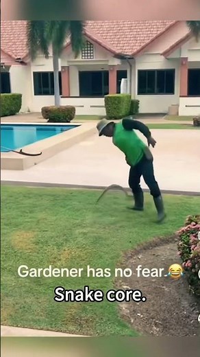 When the Snake Did Something Weird 🤯 You Won’t Stop Laughing! 😂#FunnySnake #shorts