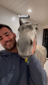 Say "Hay!" 🤳🐴🥰 #Horse #Funny #CuteHorse | Try Not to Laugh