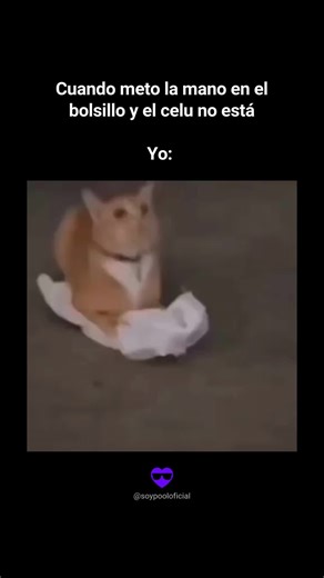 POOL on Instagram: ":( #viral #Humor#diversión#Memes#Memevideo#POOL#SoyPool#PoolEsCool PoolCreator ➤ BrianAntonio"