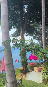 1.2K views · 1.8K reactions | Cafe Phuket viewpoint (Patong) Open daily : 10.30-19.30 ☎️094-663 4124 https://maps.app.goo.gl/mN9FK1aA3hE8EThz9?g_st=com.google.maps.preview.copy | Cafe Phuket view point | Facebook