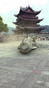 7.2K views · 49 reactions |  Baby Sark’s Most Adorable & Funny Moments Ever! #FunnyBabySark #BabyLaughs #HilariousKids #CuteBabyMoments #FamilyFun #ComedyForKids #DailyLaughs #BabyJoy #MustSeeVideo | Pro Real Tv | Facebook