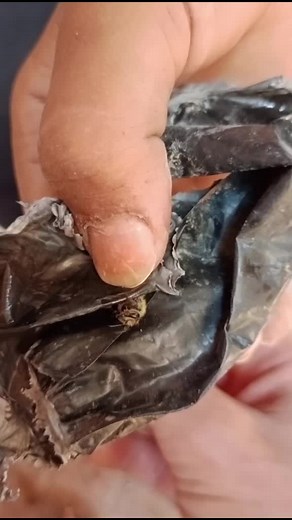 Discovering Unique Matchbox Tricks and Techniques