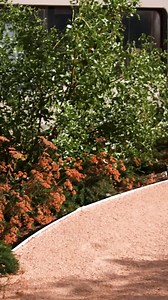 15 reactions | INSIDE LOOK: NEW NATIVE AMERICAN GARDEN.  The garden is filled with cultural significance, including its location & plants. Watch, and get the full video on YouTube ➡️ https://www.youtube.com/watch?v=WbjDSVwjb_s #ucr #ucriverside #NativeAmericanHeritageMonth | UC Riverside | Facebook