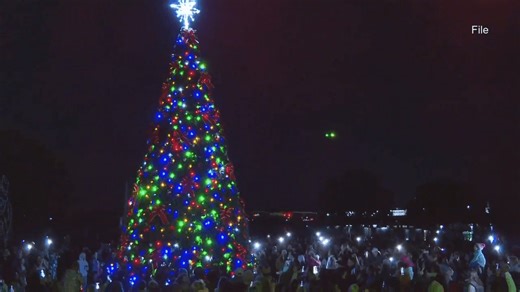 New Bern set to dazzle with Beary Merry Christmas kickoff and community tree lighting