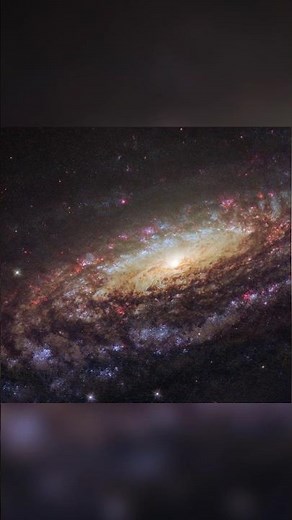 NGC 7331, A Cosmic Twin of The Milky Way, 40 Million Light Years, #shorts