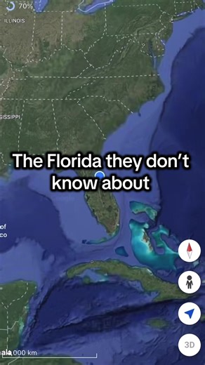 Protecting Florida's Forests and Swamps