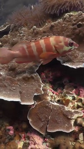 360 degree turn | Ocean Reality Channel