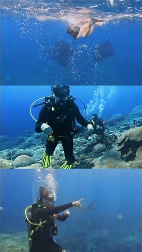 First Time Diving in Bali with Our Dive School - Nico Dives Cool Bali