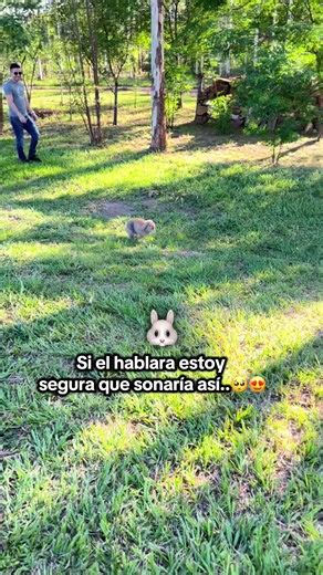 Síganme para ver y aprender tips sobre conejitos🐰💙 #bunny #conejitos #rabbitsoftiktok #minilop #conejomascota #mascotasentiktok #paratiiiiiiiiiiiiiiiiiiiiiiiiiiiiiii #parativiraltiktok #paratii #mascotasfelices #siendofeliz #amomimascota #mascotasentiktok #conejofeliz #conejitoadorable