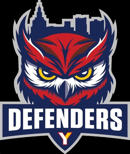 New mascot, school names, and logo unveiled as Youngstown City Schools move toward merger