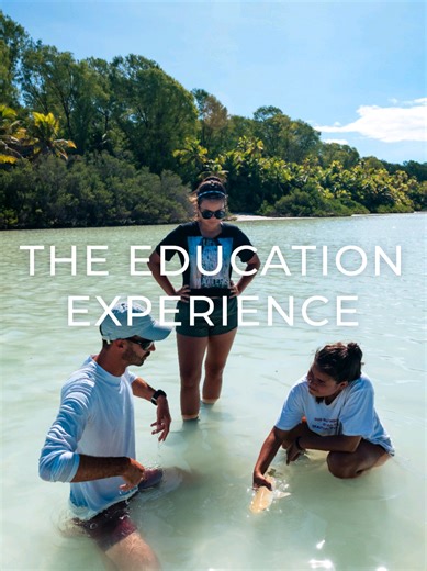 Our competition is an educational opportunity to join leading scientists and take part in conservation efforts in the field. Meet expert researchers working across a variety of critical conservation initiatives and learn about the pressing issues facing our oceans. You'll experience: 🪸 Coral reef surveys 🐠 Species identification 🧪 DNA sample collections 🏷️ Species tagging techniques 🎥 BRUV deployments This is a learning experience tailored to you. Whether you’re passionate about ocean conse