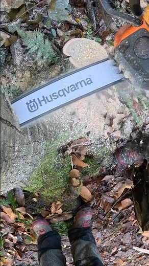 #Chainsaw Plunge Cut
