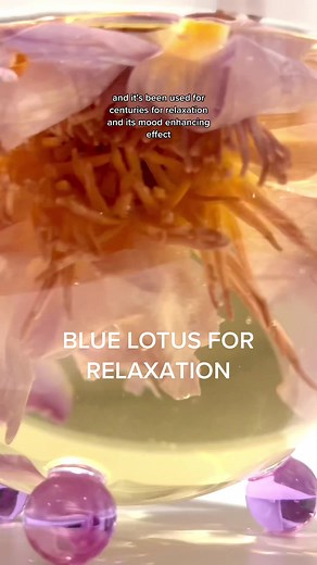 Benefits of Blue Lotus Tea for Relaxation and Mood Enhancement
