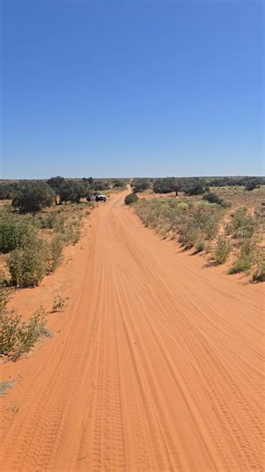 The sweet sounds of nature out in the Simpson Desert ☺️ | Real 4x4 Adventures