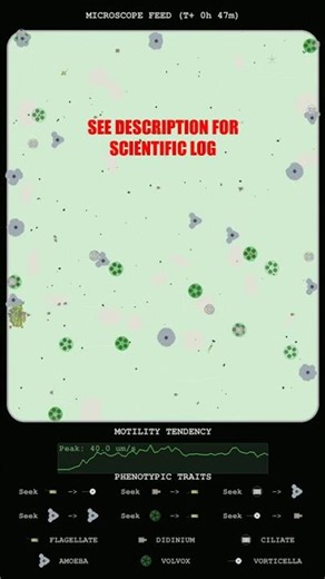 Kinetic Analysis of Microscopic Aggregation and Velocity