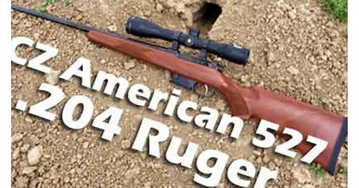 CZ American in .204 Ruger is a varmint's worst nightmare