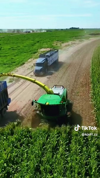 Chopping Corn with a Drone: A Trendy Approach