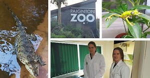 Take a look behind the scenes at Paignton Zoo