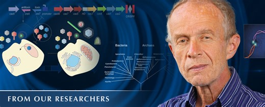 Can Studying Viruses Help Us Understand the Evolution of Life?